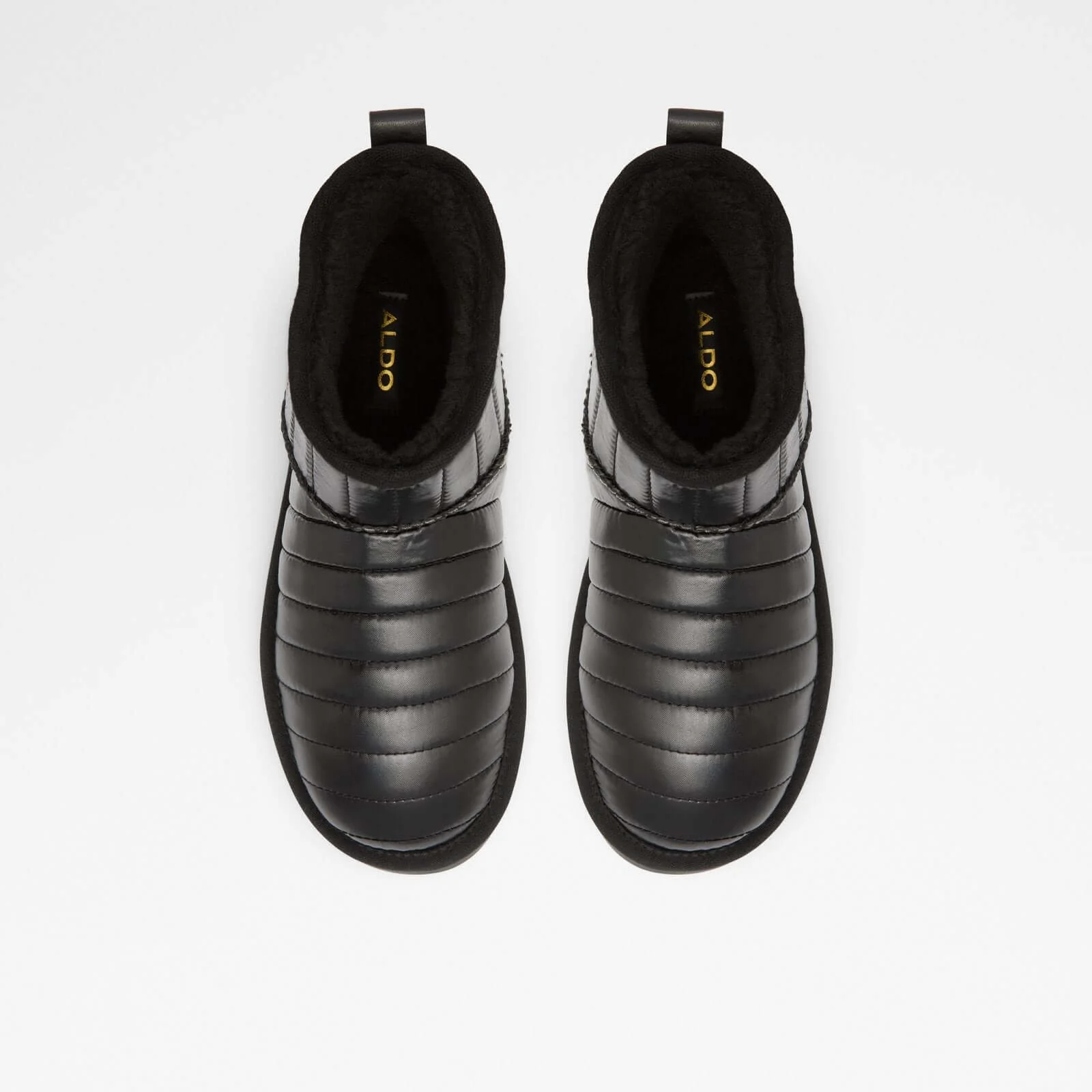 Bearie - Image 7