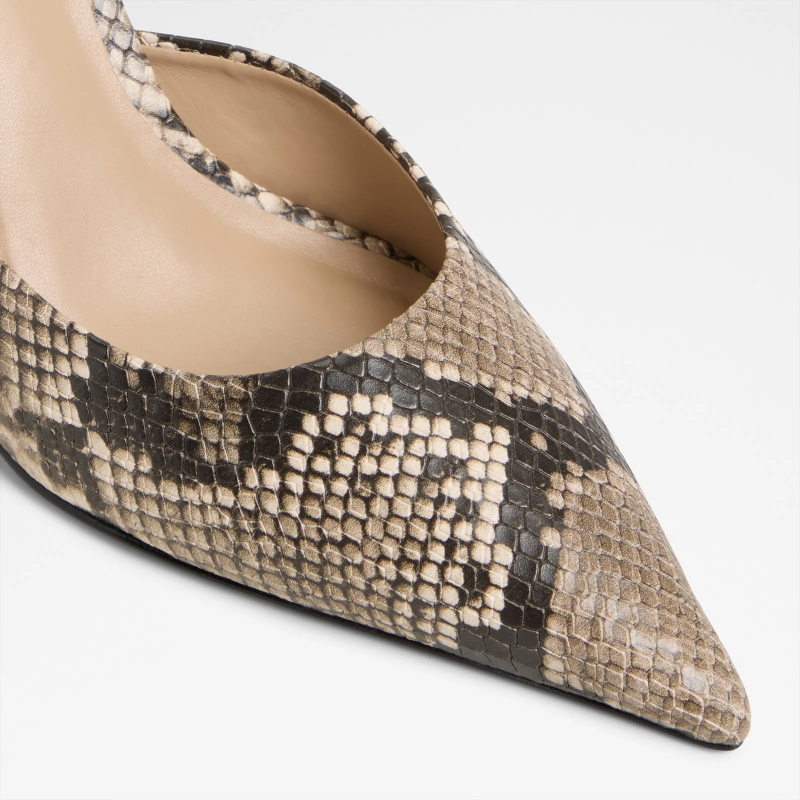 Beatrixy - Image 6