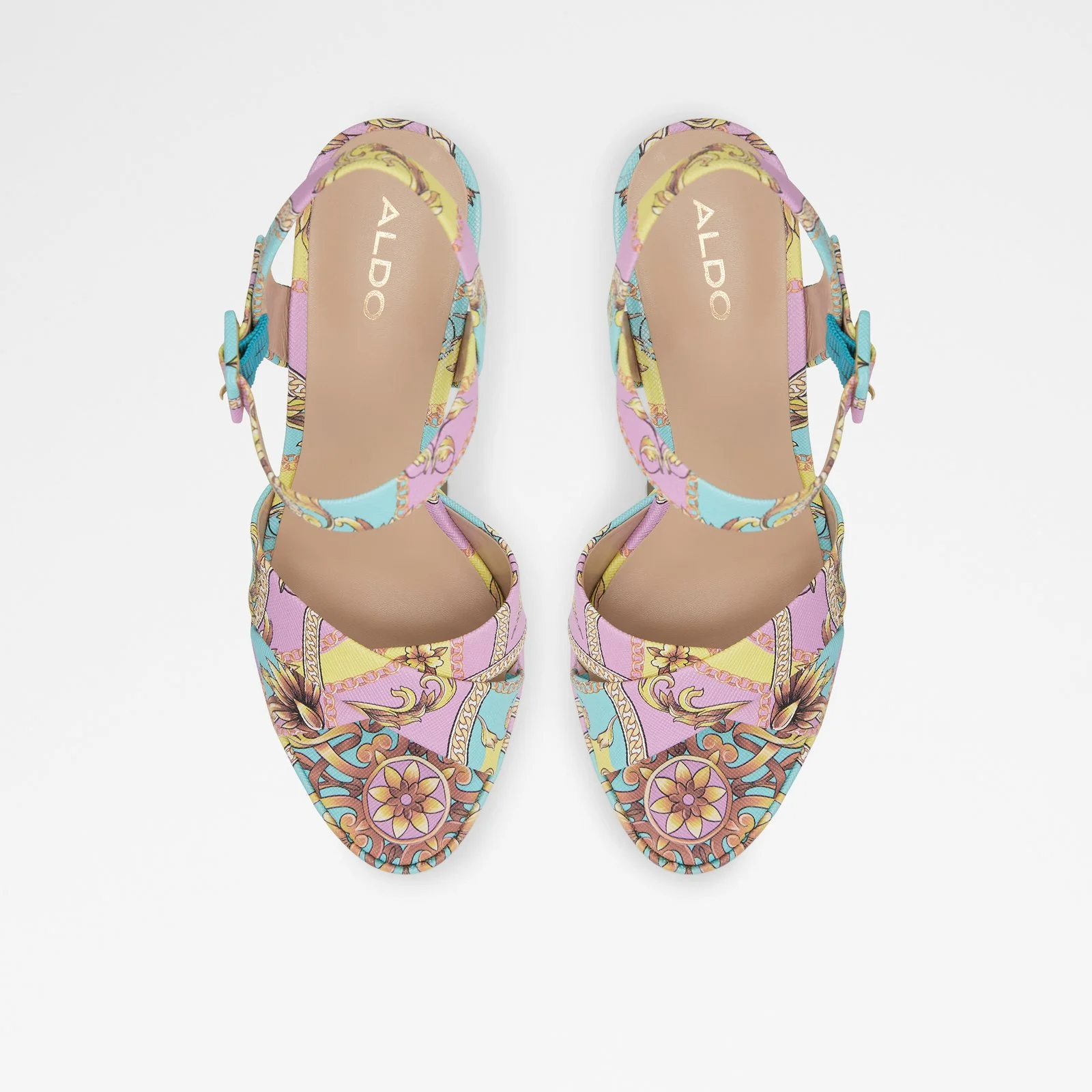 Camelia - Image 7