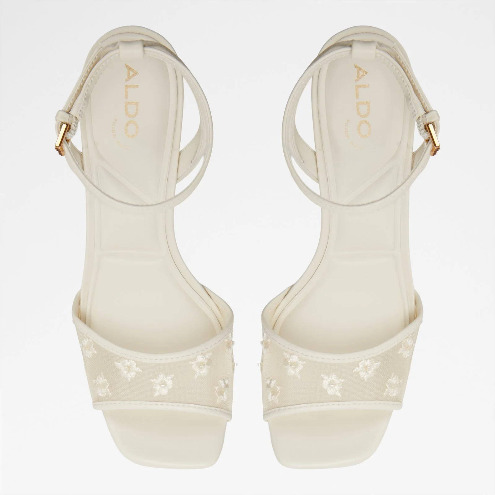 Chicglimmer - Image 8