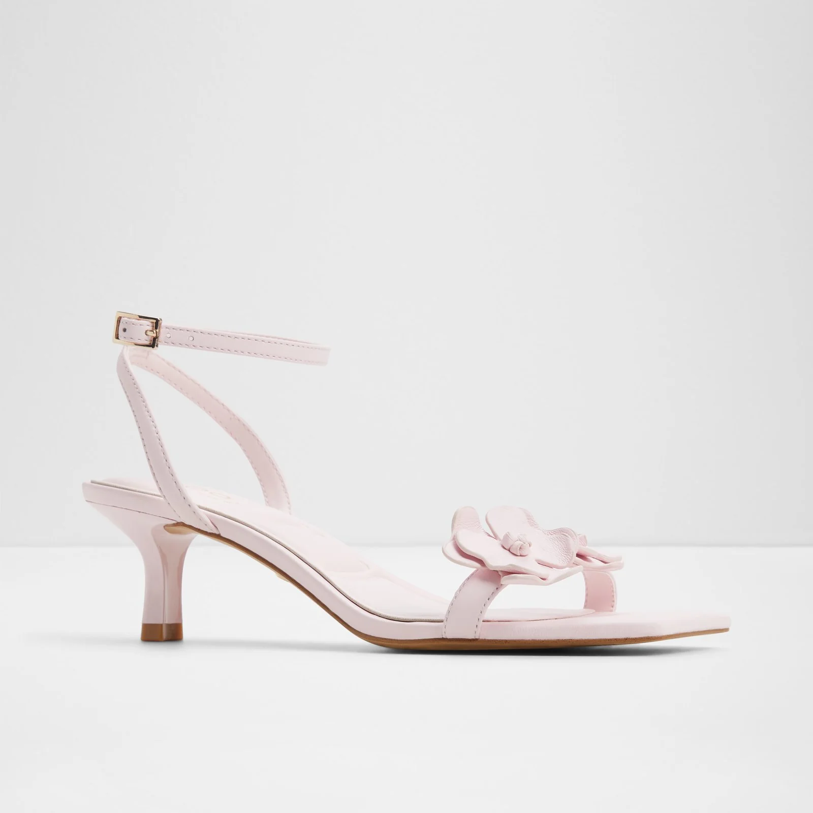 Daisyrose - Image 5