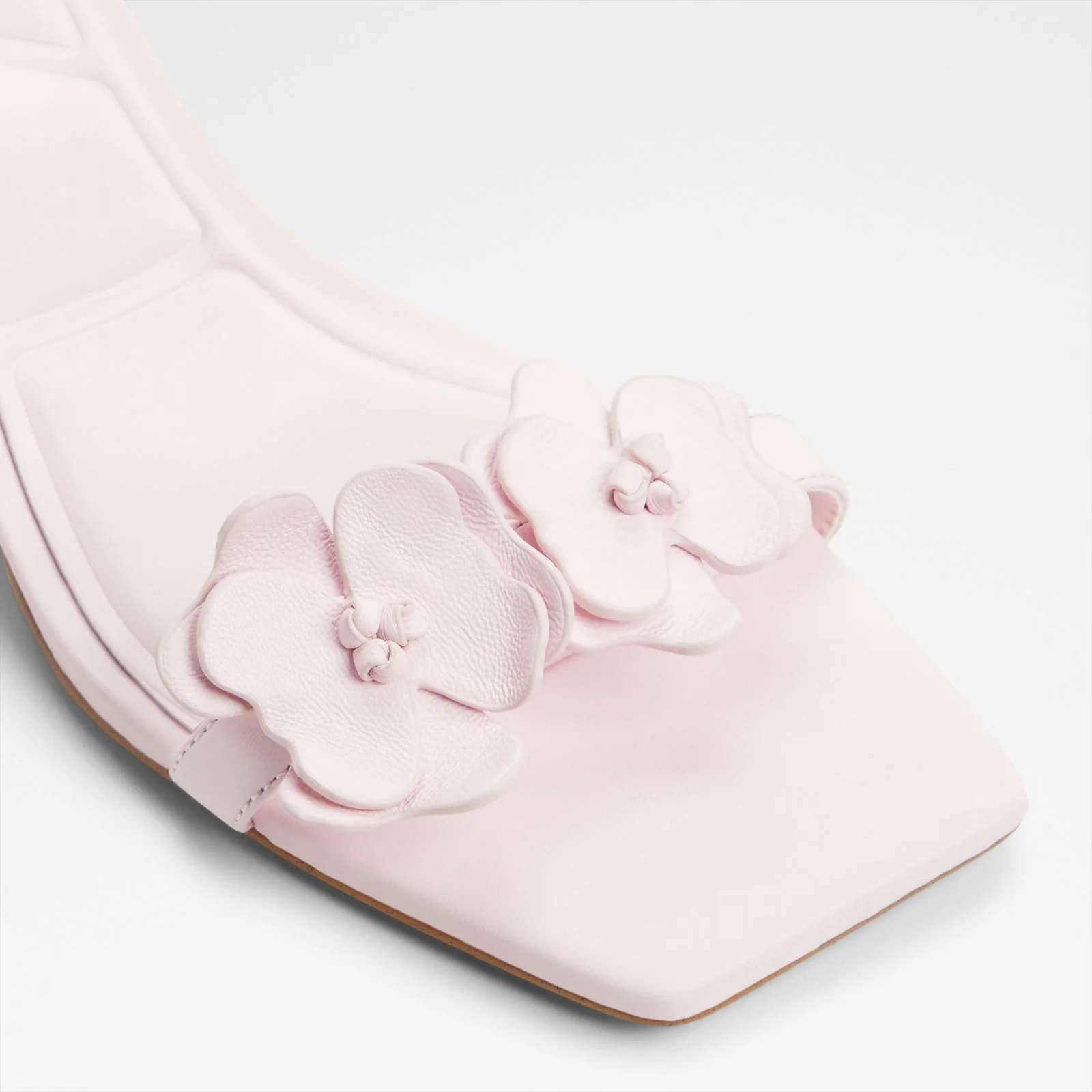 Daisyrose - Image 6