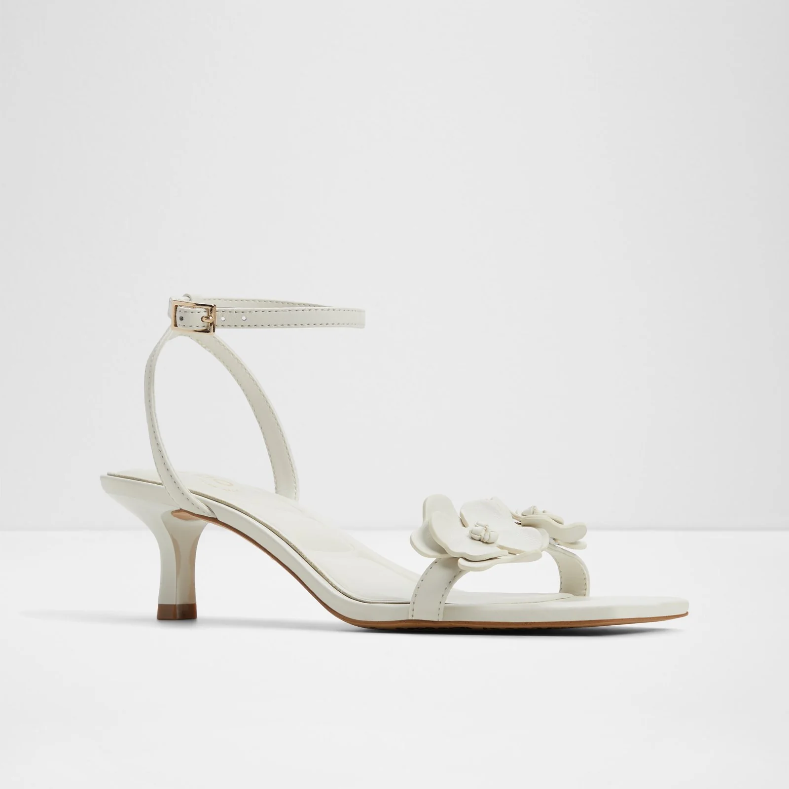 Daisyrose - Image 5