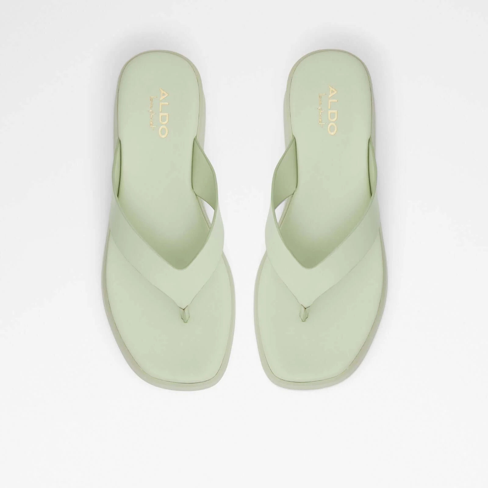 Delphy - Image 8