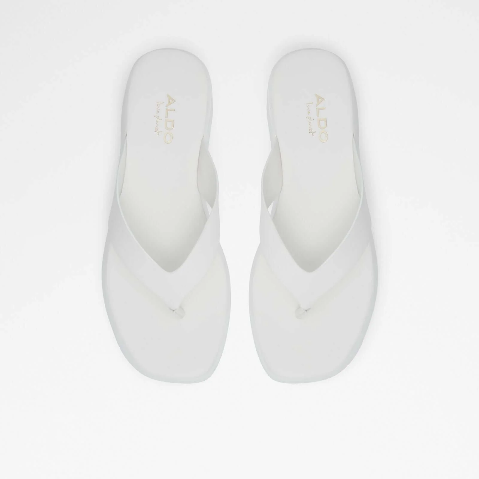 Delphy - Image 8