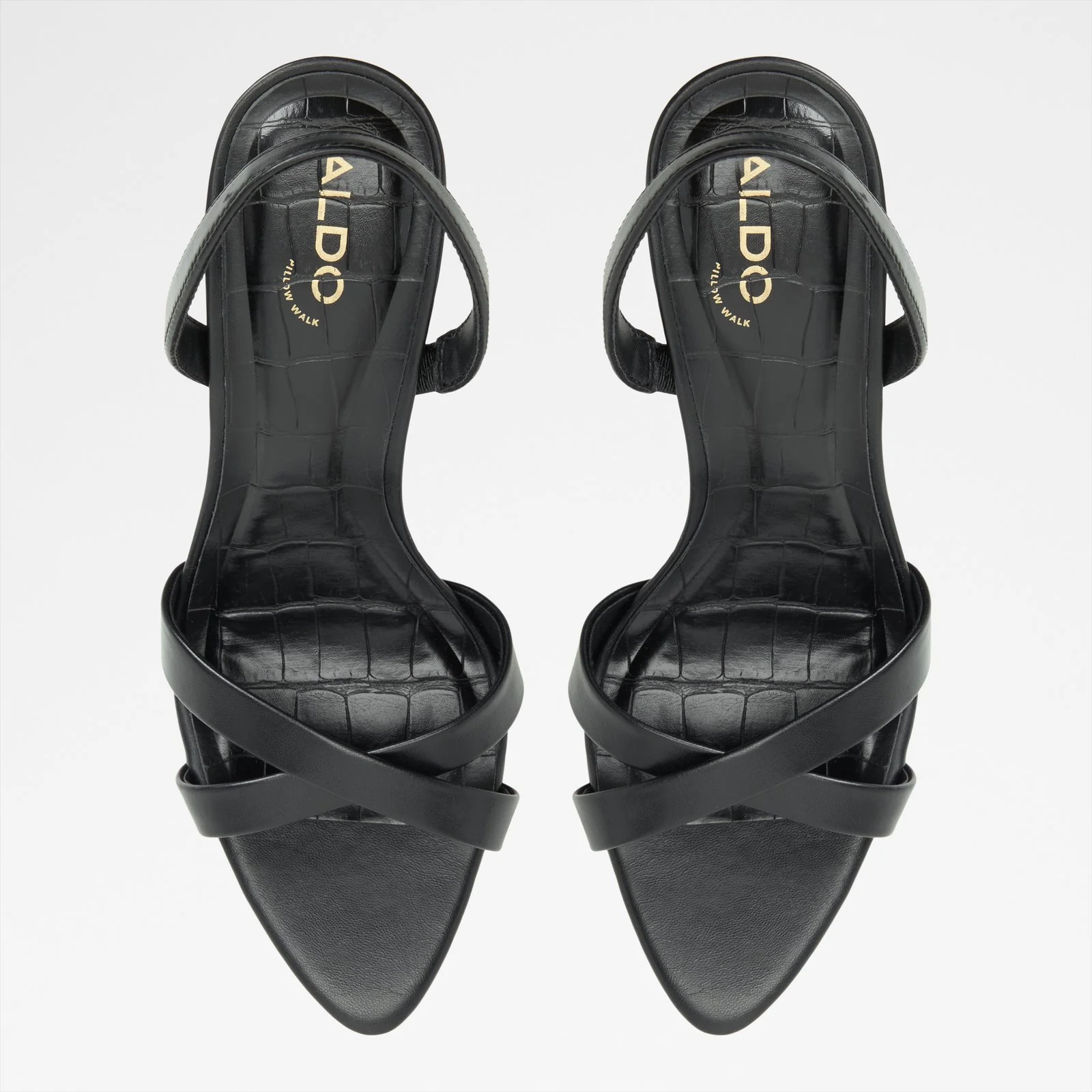 Elera - Image 7