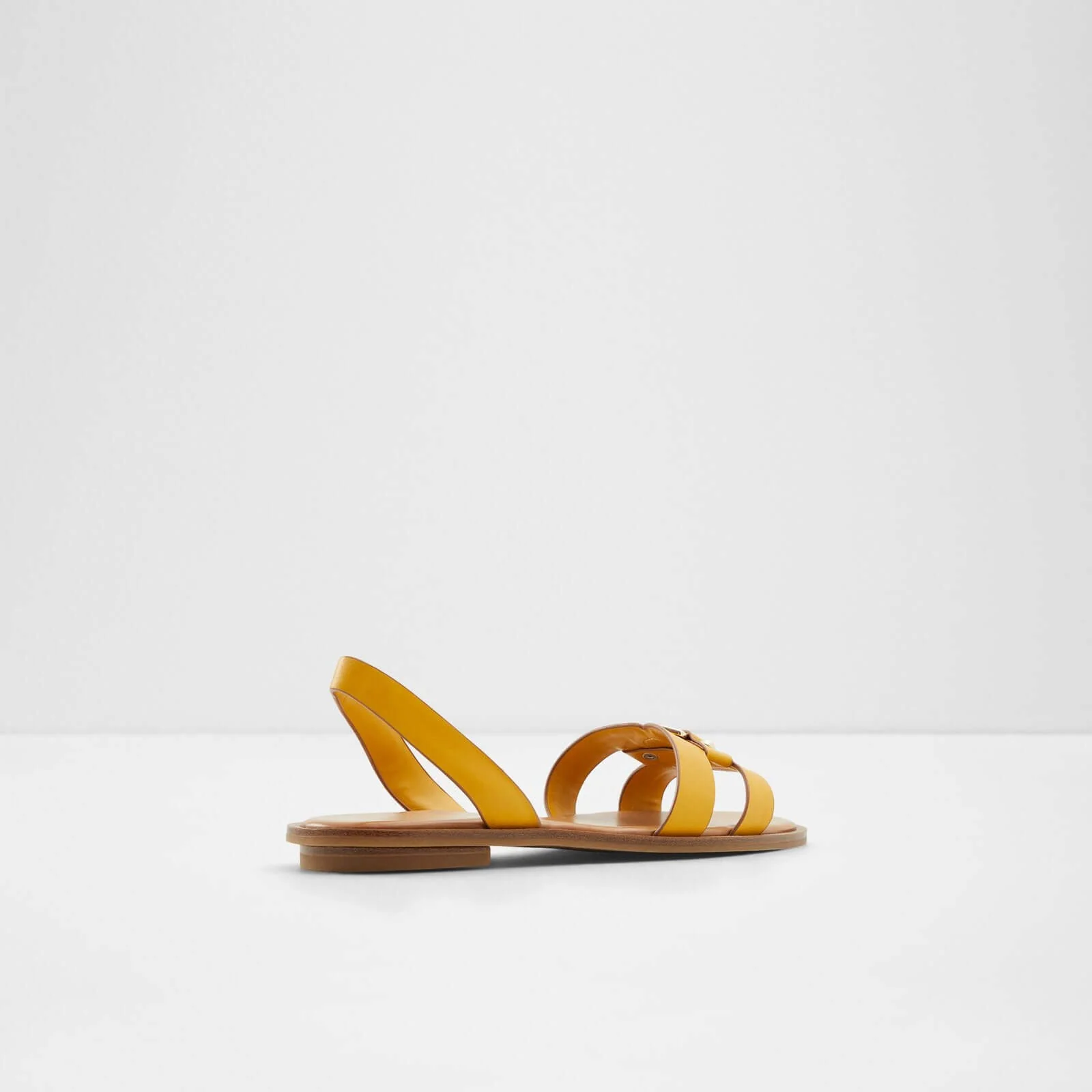 Fandra - Image 4