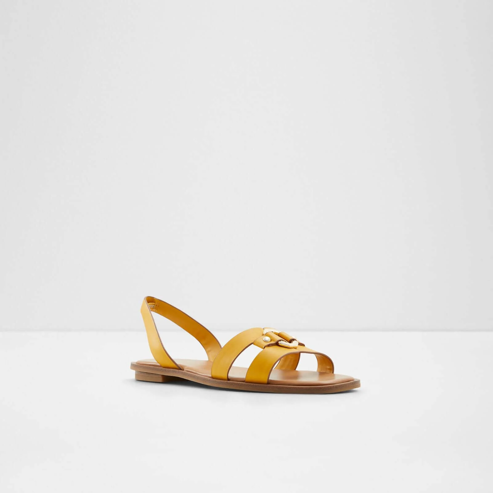 Fandra - Image 6