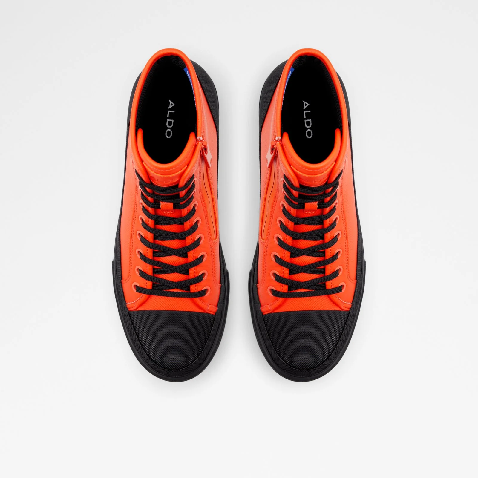 Freesole - Image 7