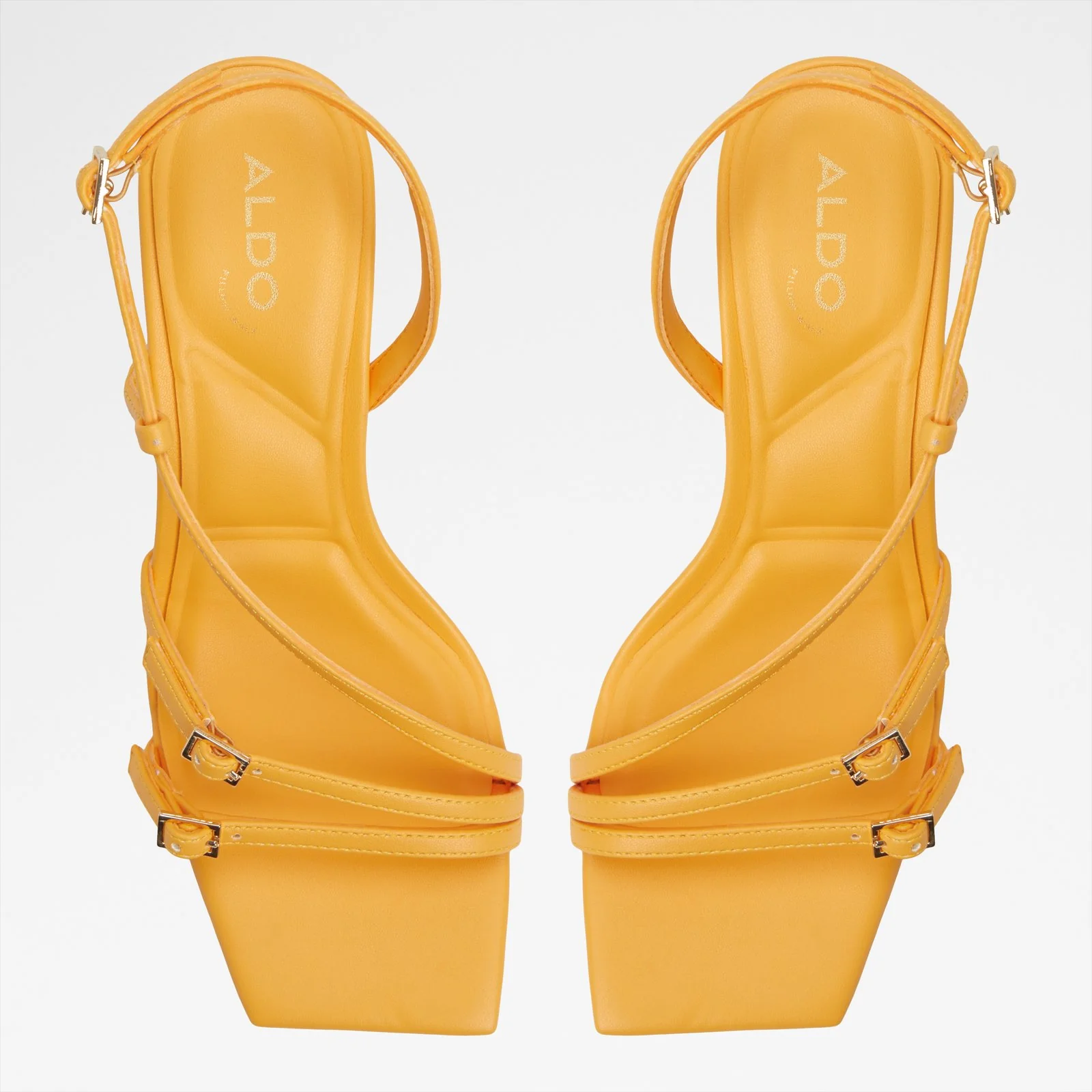 Harlie - Image 7