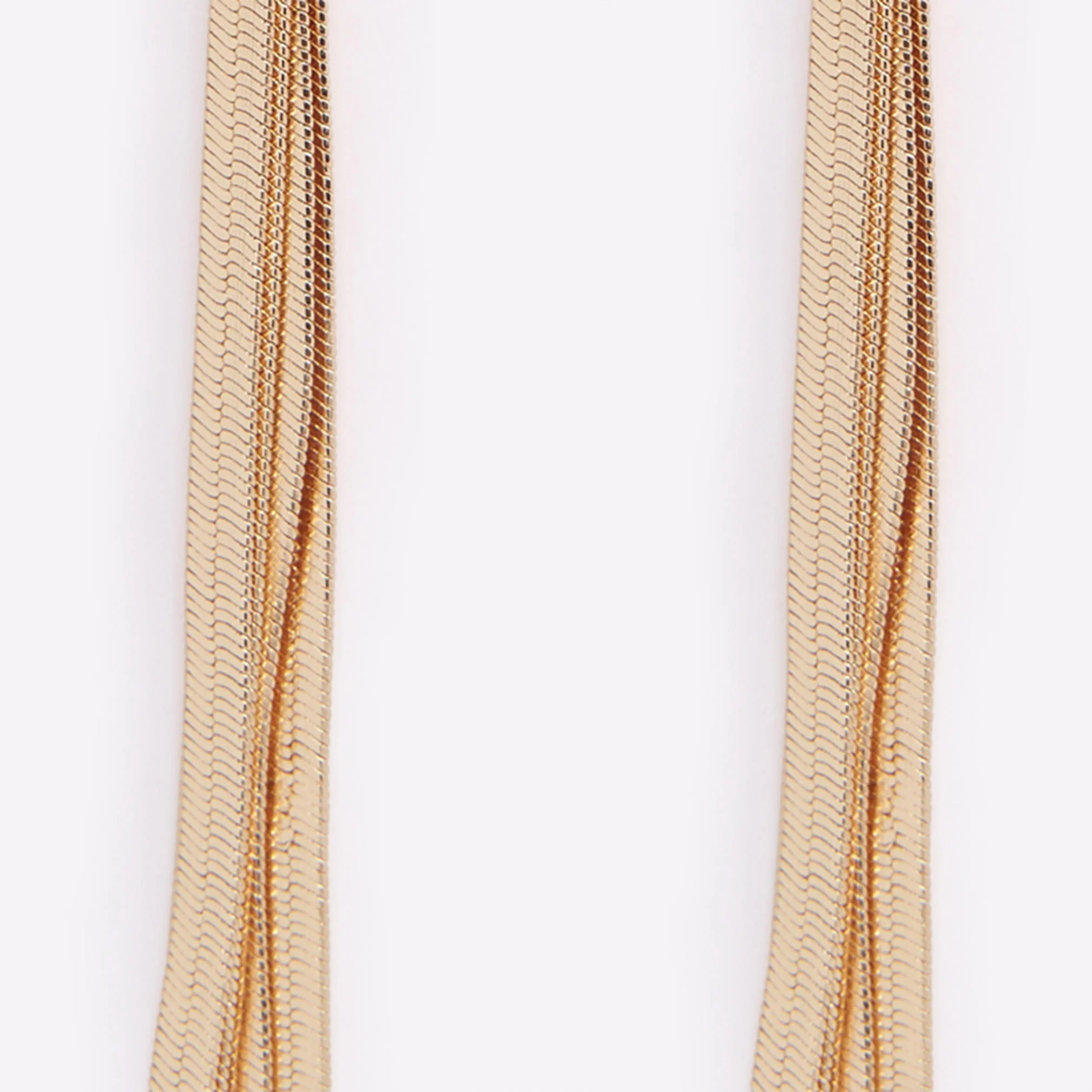 Lodicia - Image 4