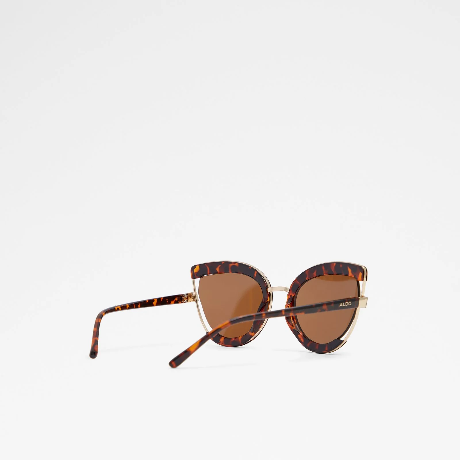 Lorys - Image 4