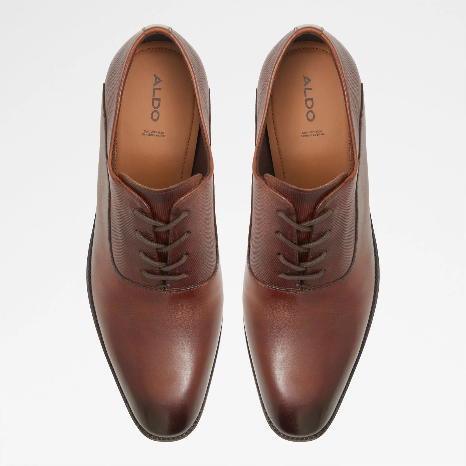 Morio - Image 7
