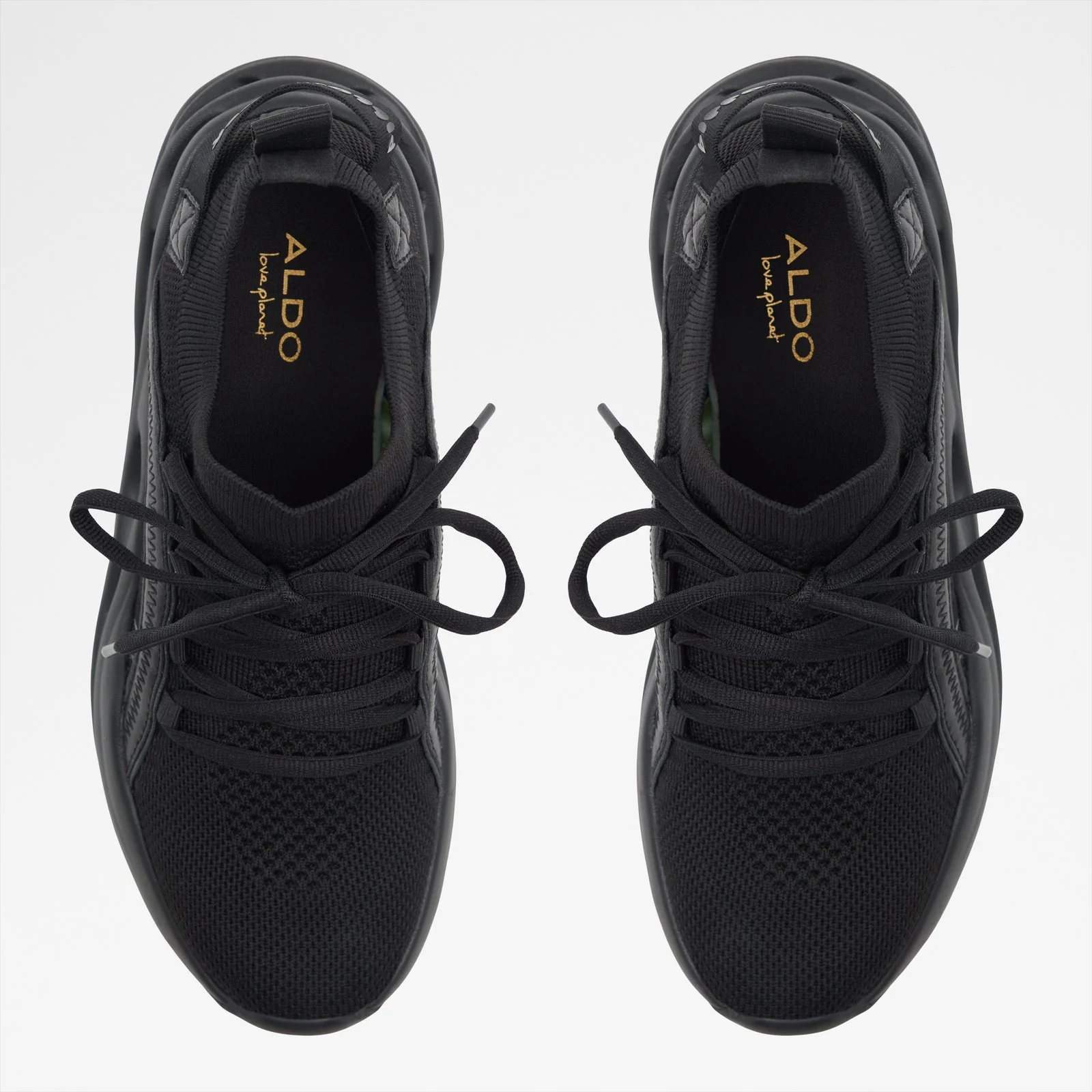 Motionxx - Image 7