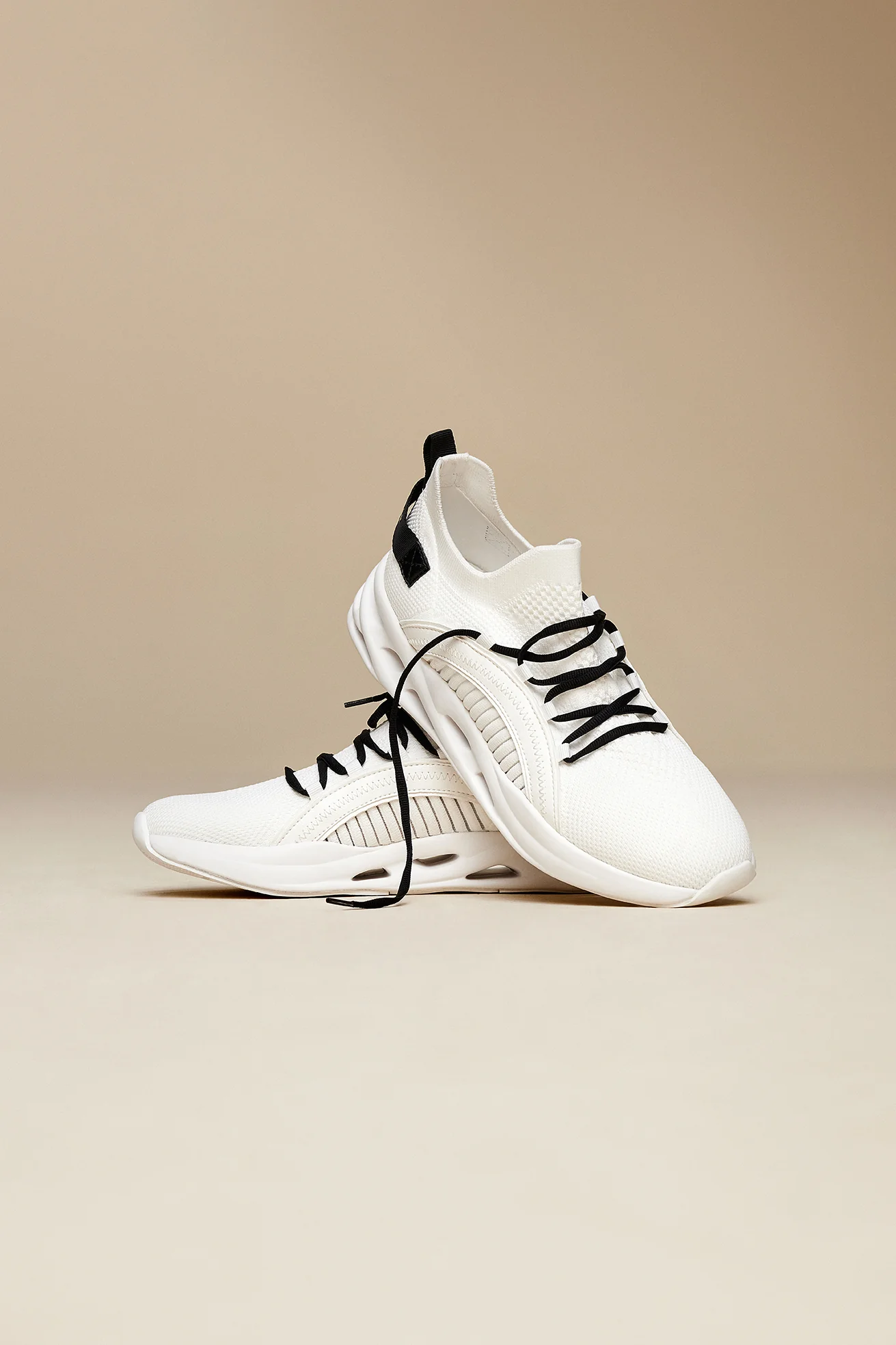Motionxx - Image 8