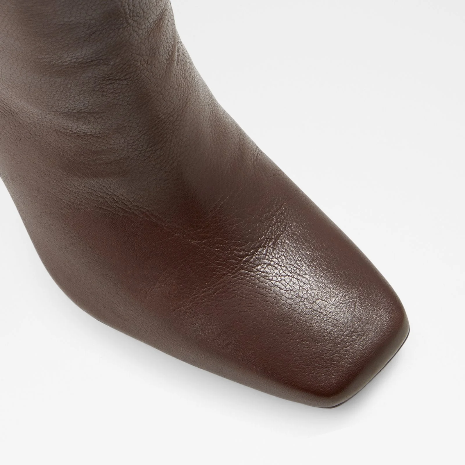 Oluria - Image 6
