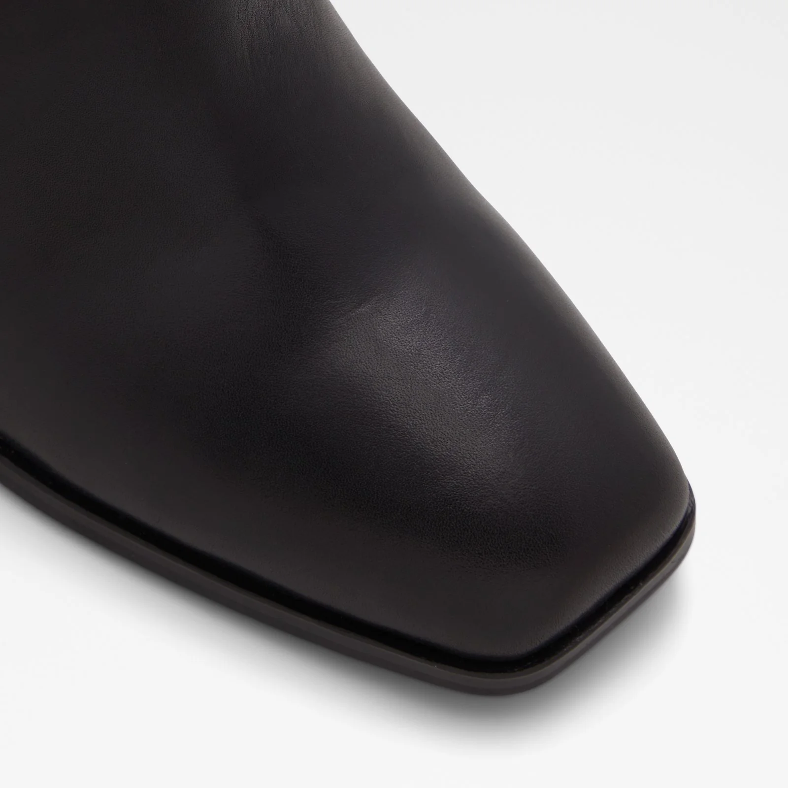 Reva - Image 6
