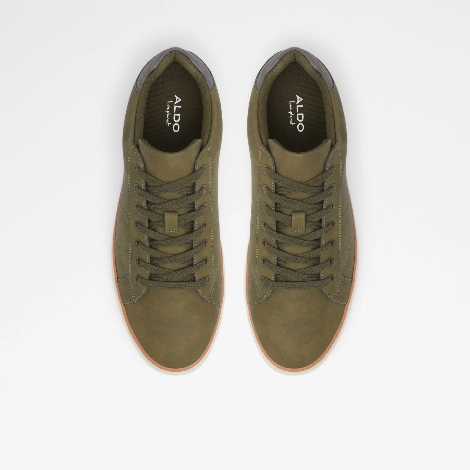 Rex - Image 7