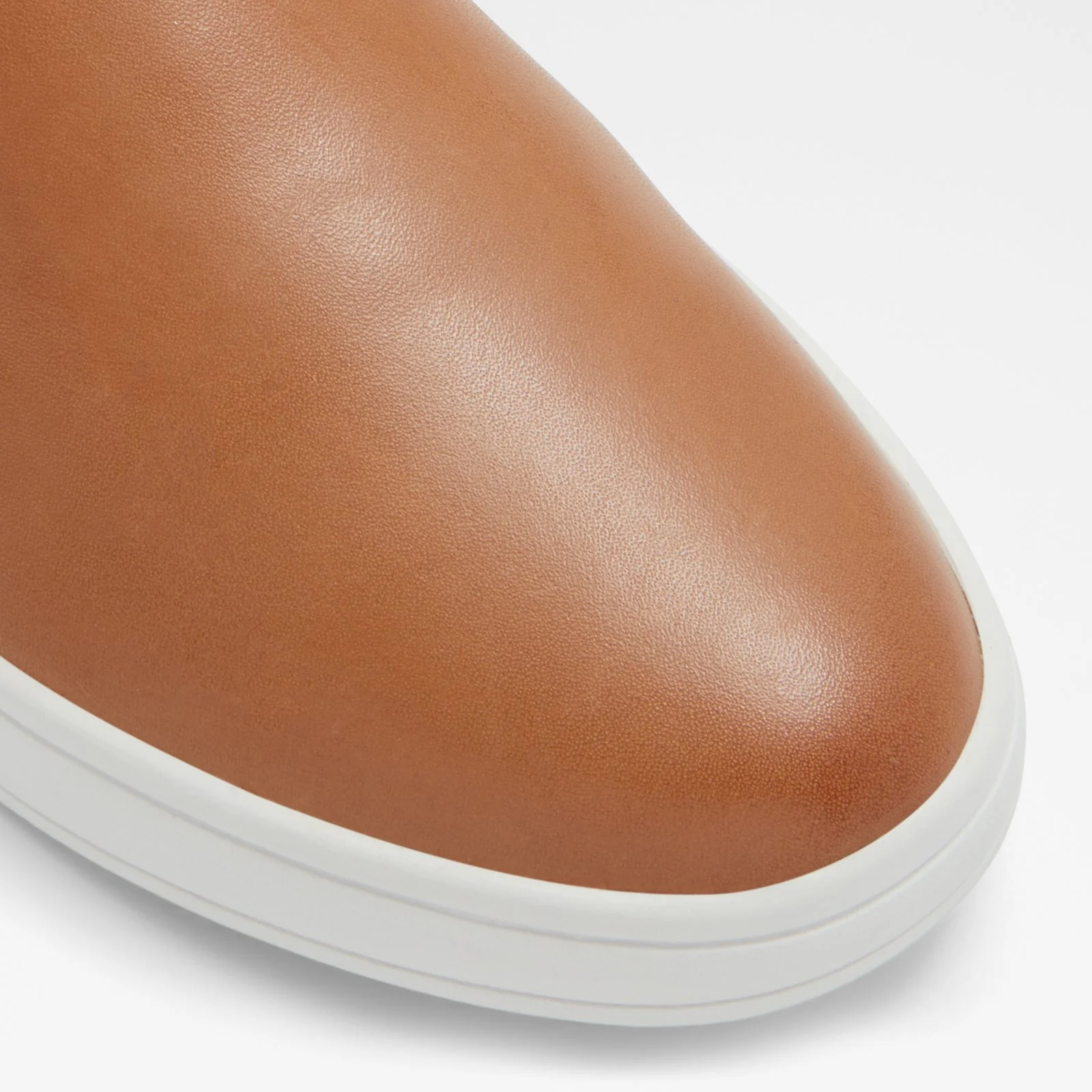 Roolly - Image 6