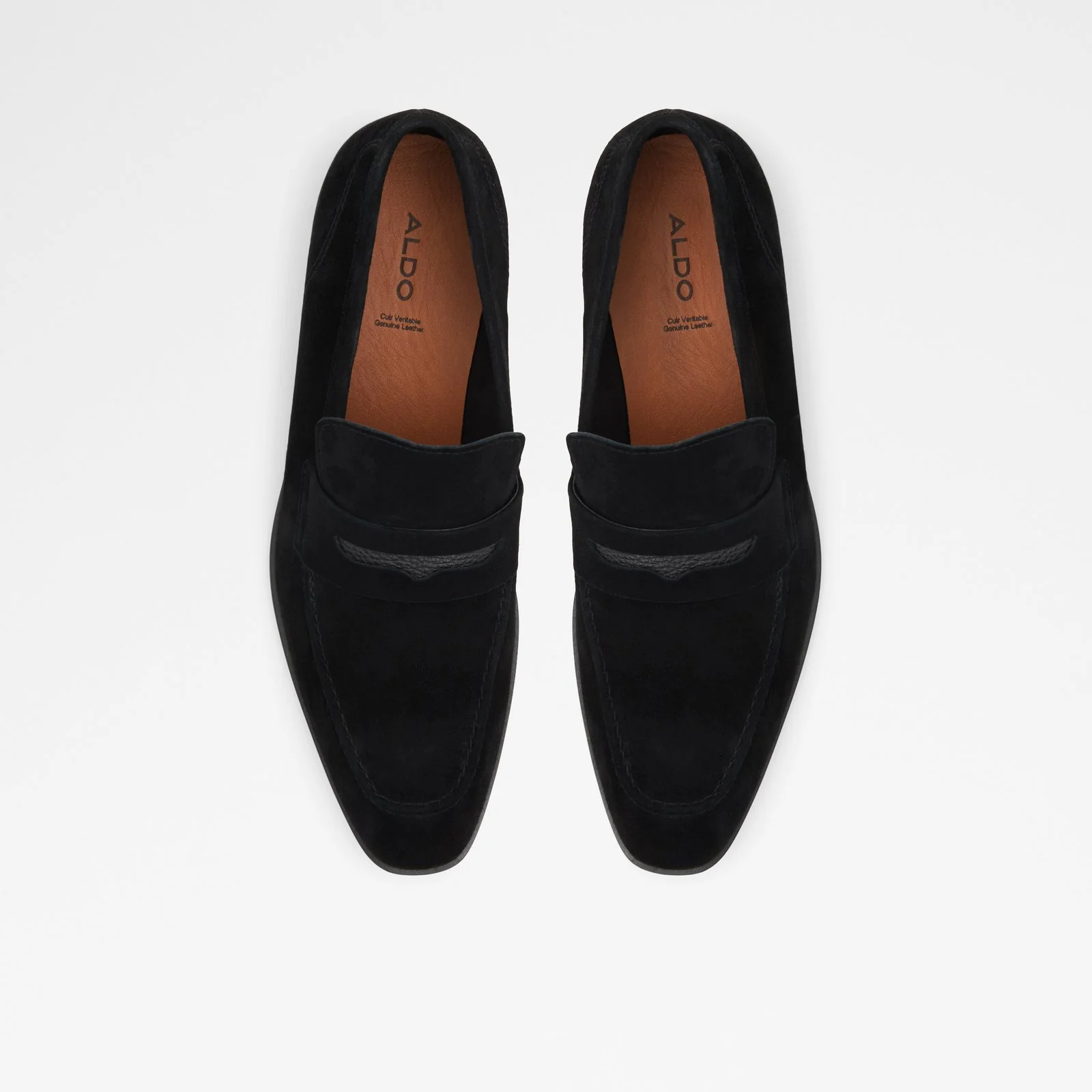 Spector - Image 7