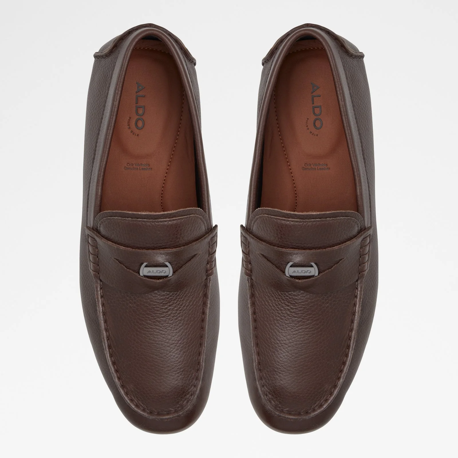 Squire - Image 7