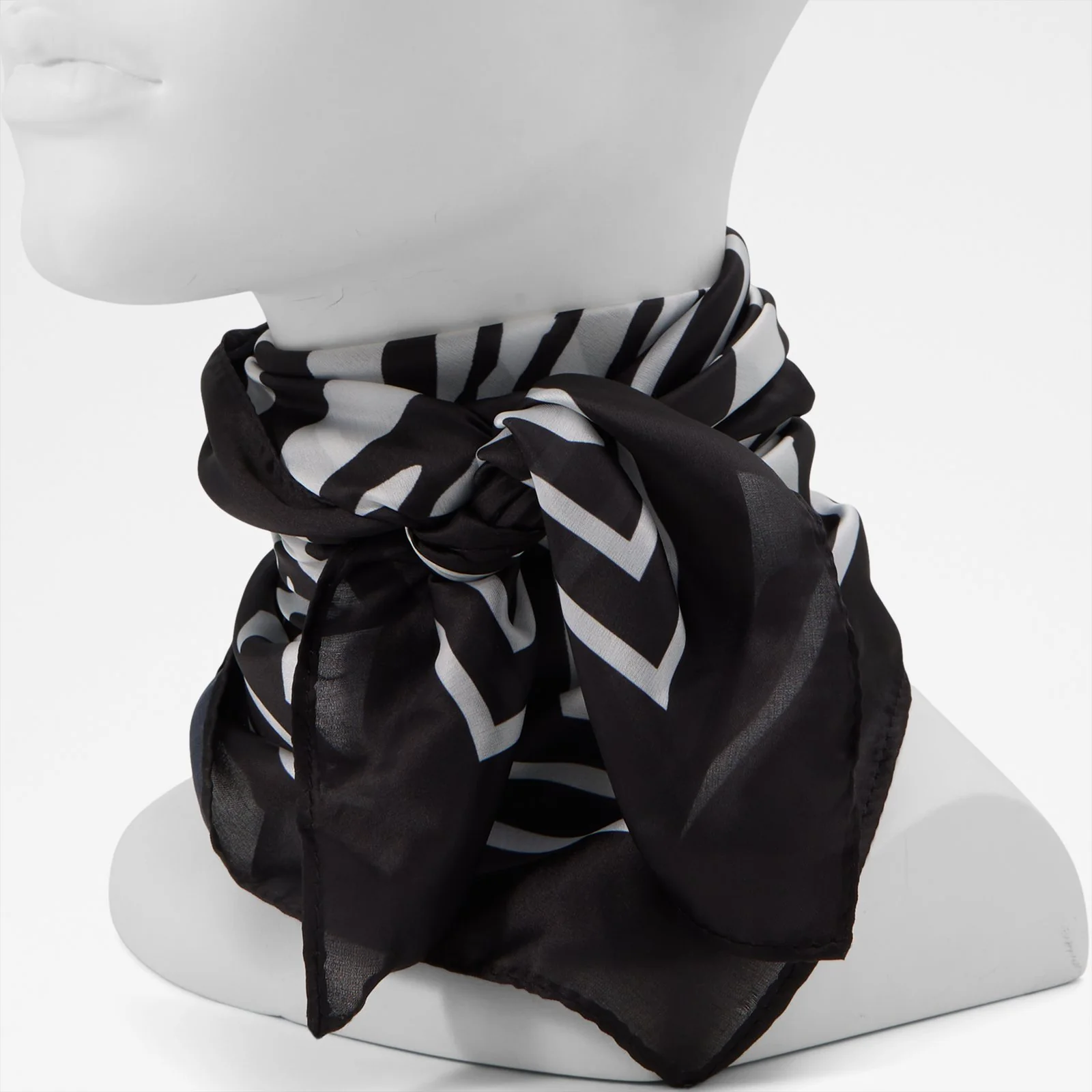 Zebria - Image 3