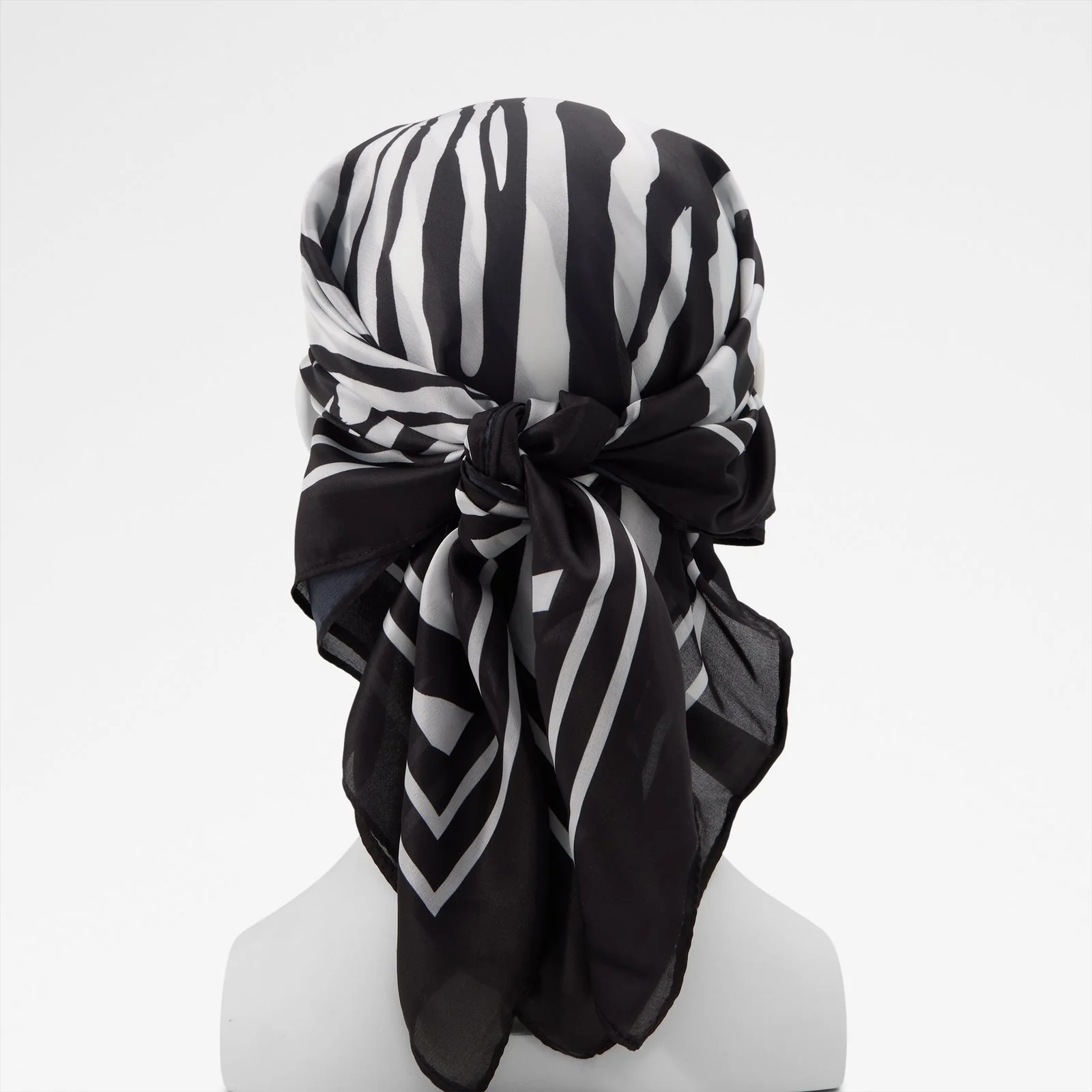 Zebria - Image 4