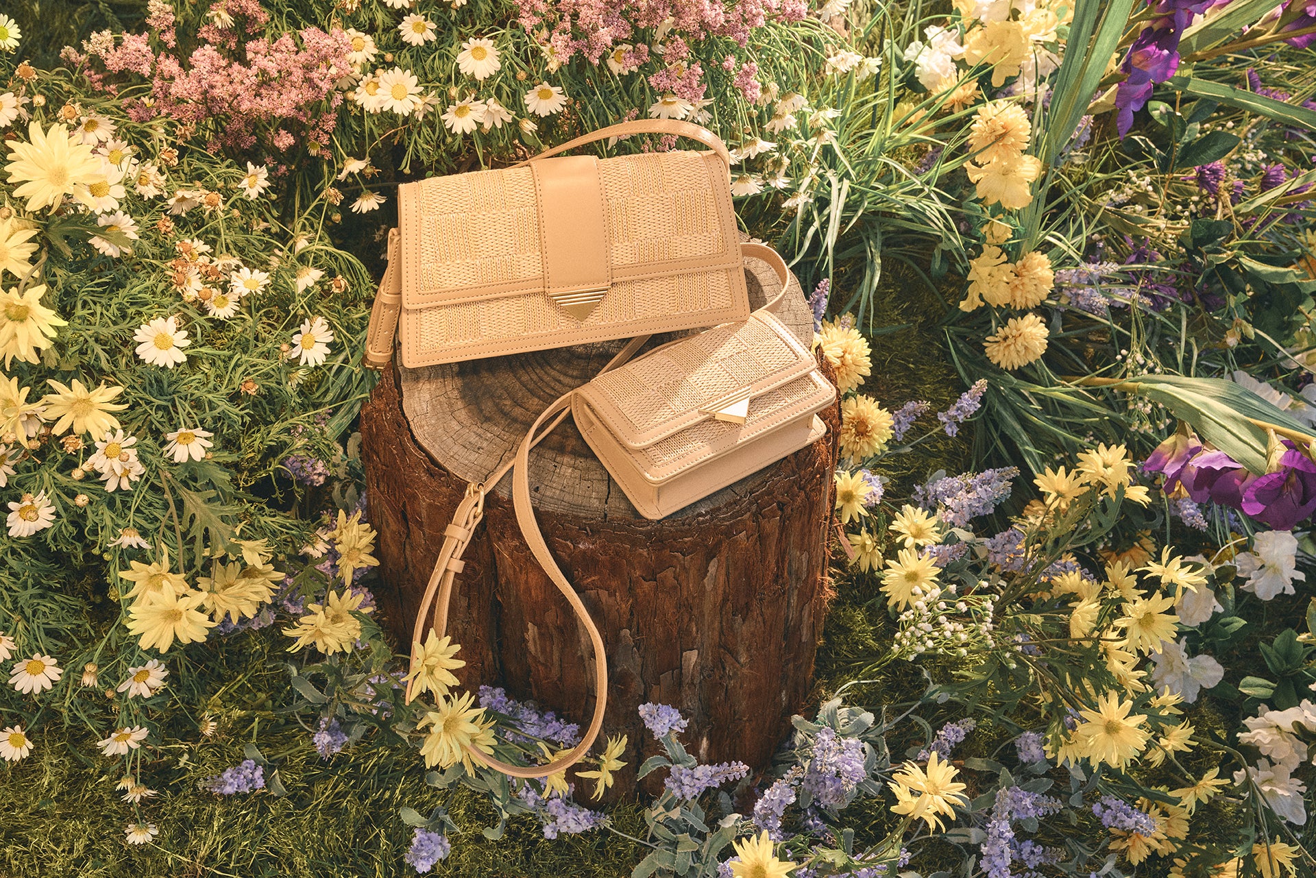 Zenithpursemini - Image 6